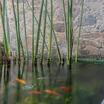 Jardim Da Cidade